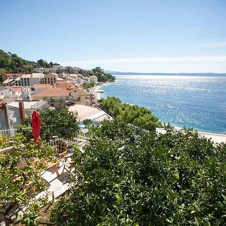 Luma Podgora (Split-Dalmatia)